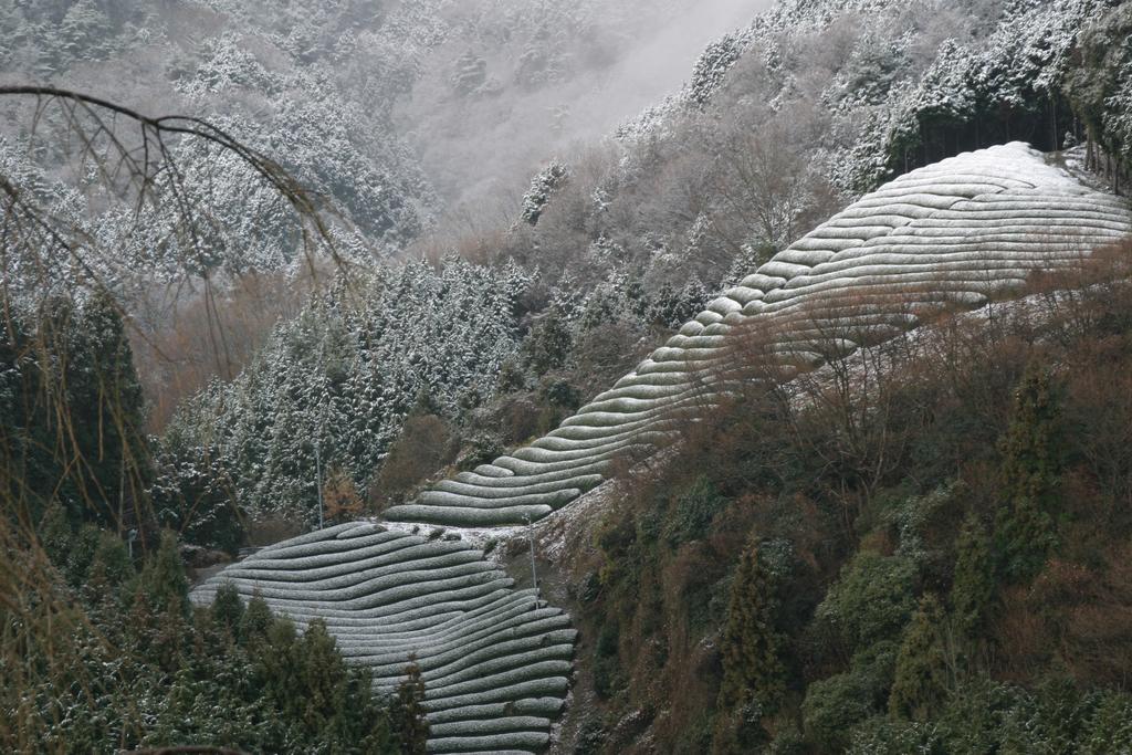 Kyoto Wazukaso Hotel Kizugawa Buitenkant foto