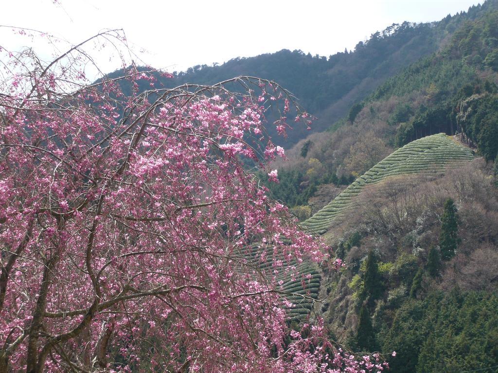 Kyoto Wazukaso Hotel Kizugawa Buitenkant foto