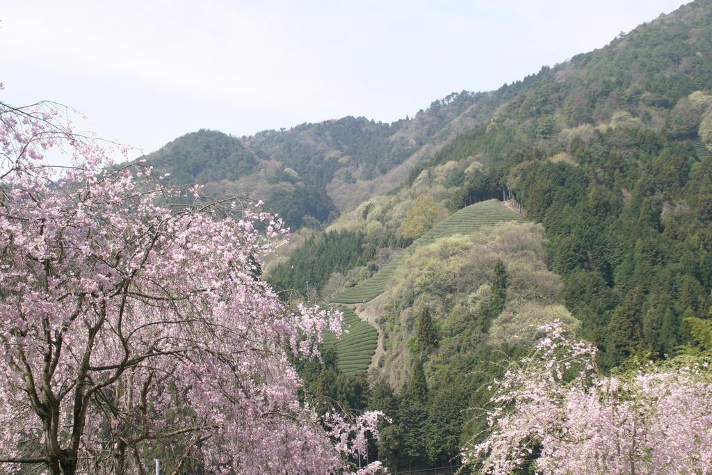 Kyoto Wazukaso Hotel Kizugawa Buitenkant foto